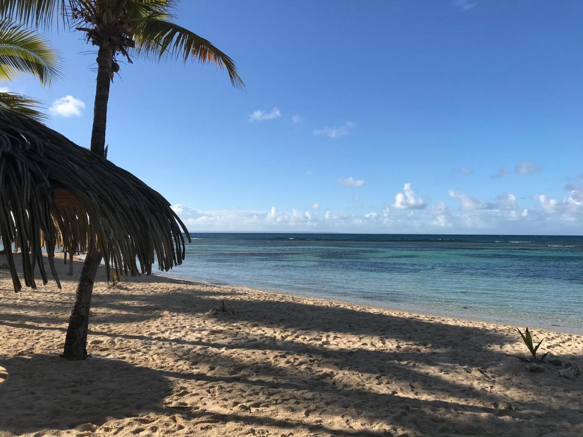 Brin D'Ile Anse Des Rochers Vue Mer A 50 M De La Plage Et Piscine Saint-Francois  Eksteriør bilde