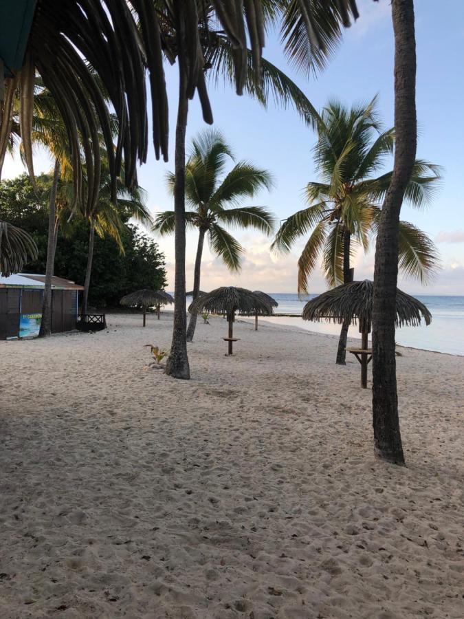 Brin D'Ile Anse Des Rochers Vue Mer A 50 M De La Plage Et Piscine Saint-Francois  Eksteriør bilde