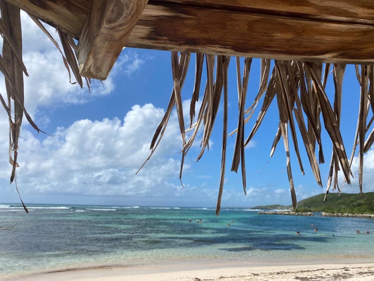 Brin D'Ile Anse Des Rochers Vue Mer A 50 M De La Plage Et Piscine Saint-Francois  Eksteriør bilde