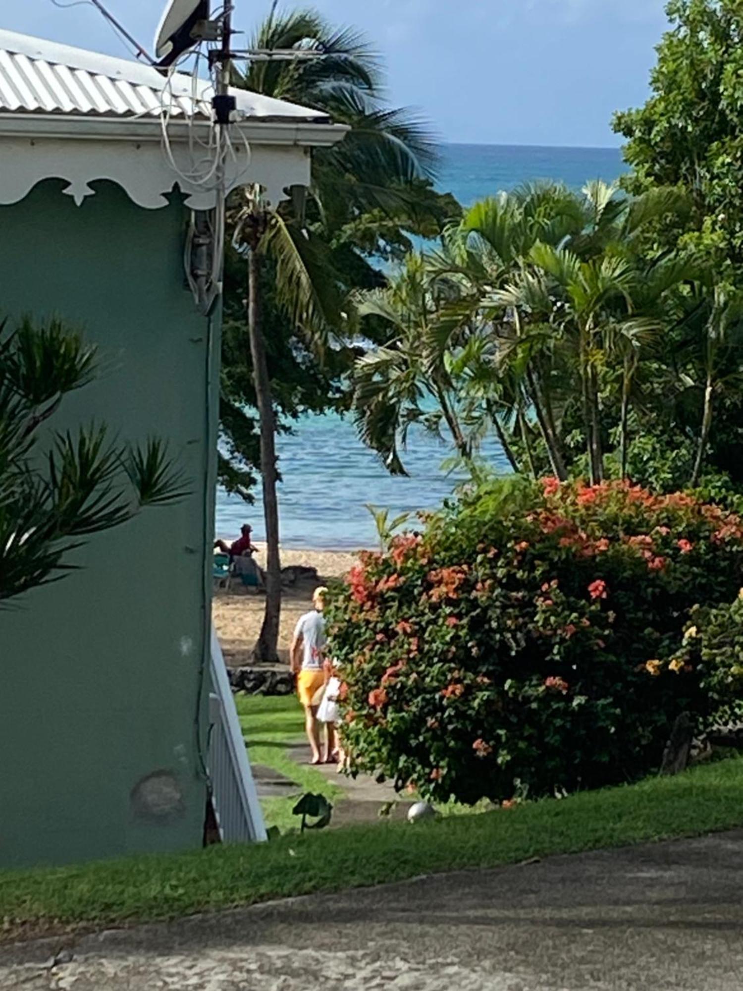 Brin D'Ile Anse Des Rochers Vue Mer A 50 M De La Plage Et Piscine Saint-Francois  Eksteriør bilde