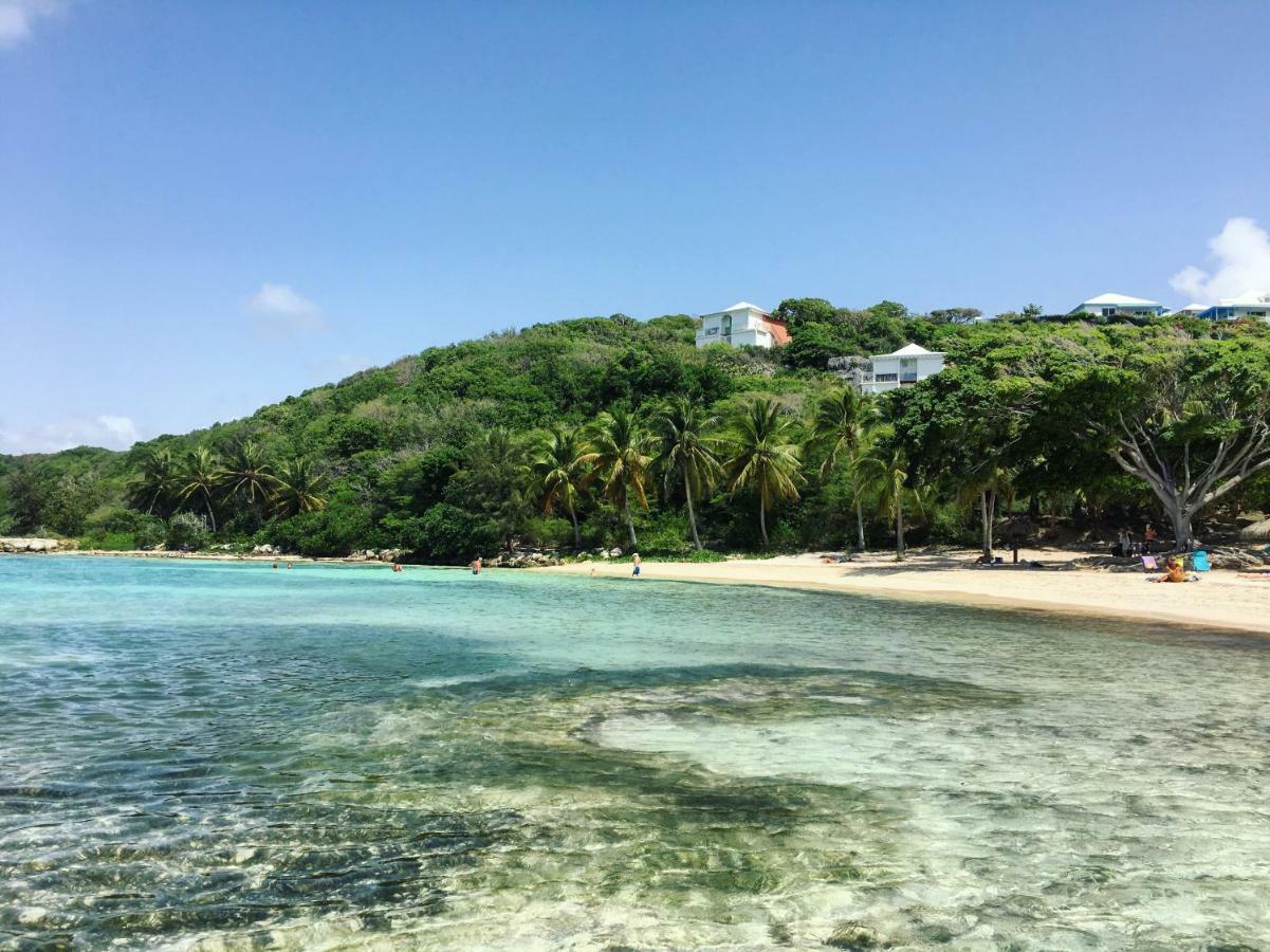 Brin D'Ile Anse Des Rochers Vue Mer A 50 M De La Plage Et Piscine Saint-Francois  Eksteriør bilde